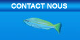 Contacter Global Scuba pour les forfaits de plongée